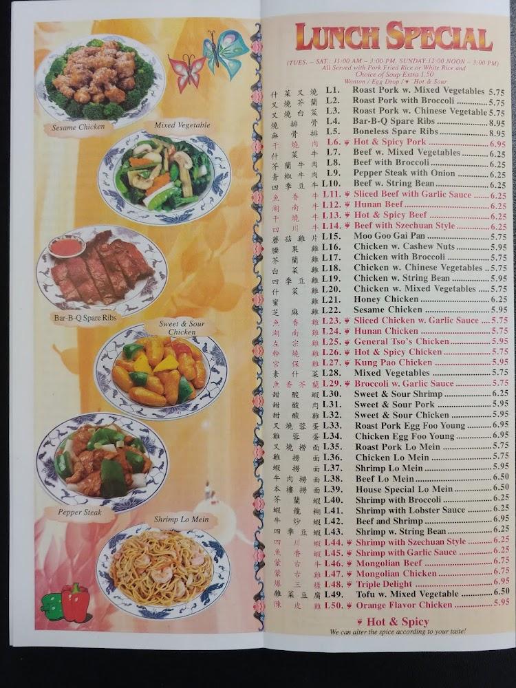 Hunan Wok Menu image 4